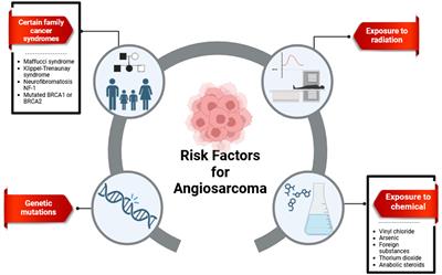 MicroRNAs and angiosarcoma: are there promising reports?